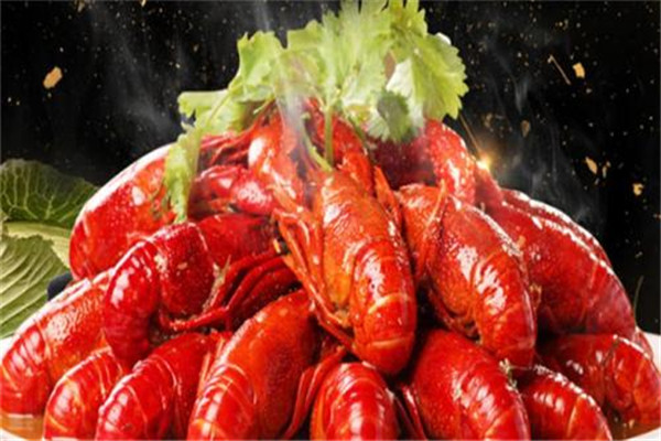 会跳舞的小龙虾